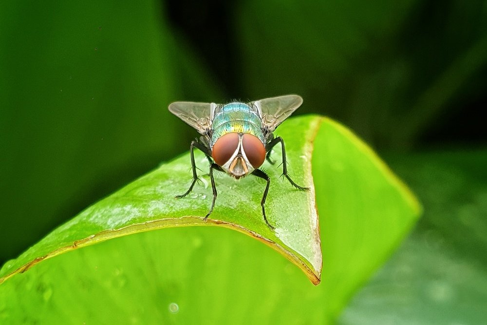 Photograph by Abhishek Modi