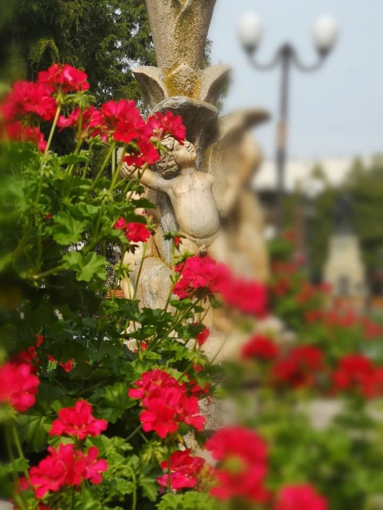 Photograph by Stefan Apostol