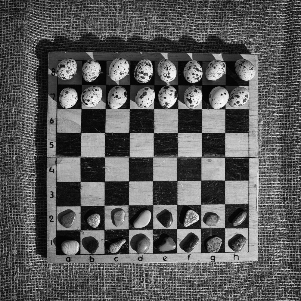 Photograph by Юлия Шестопалова