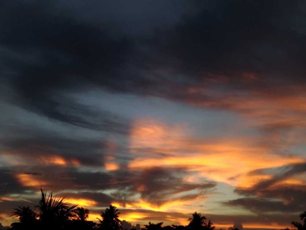 Nature photography