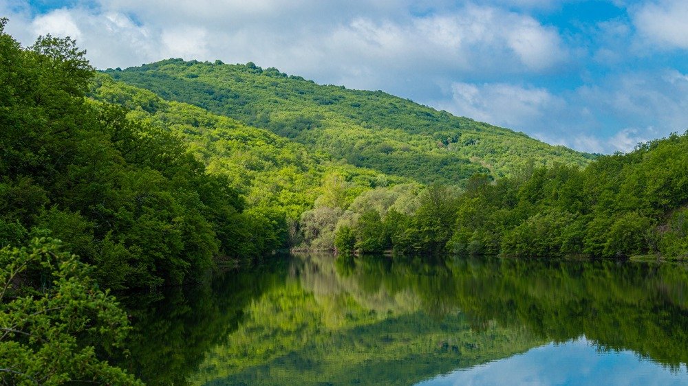 Photograph by Максим Нелидов