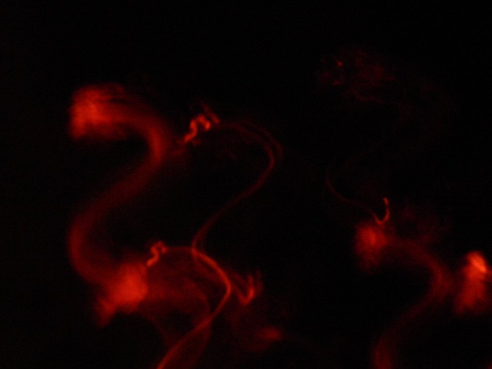 Photograph by Сергей Рапопорт