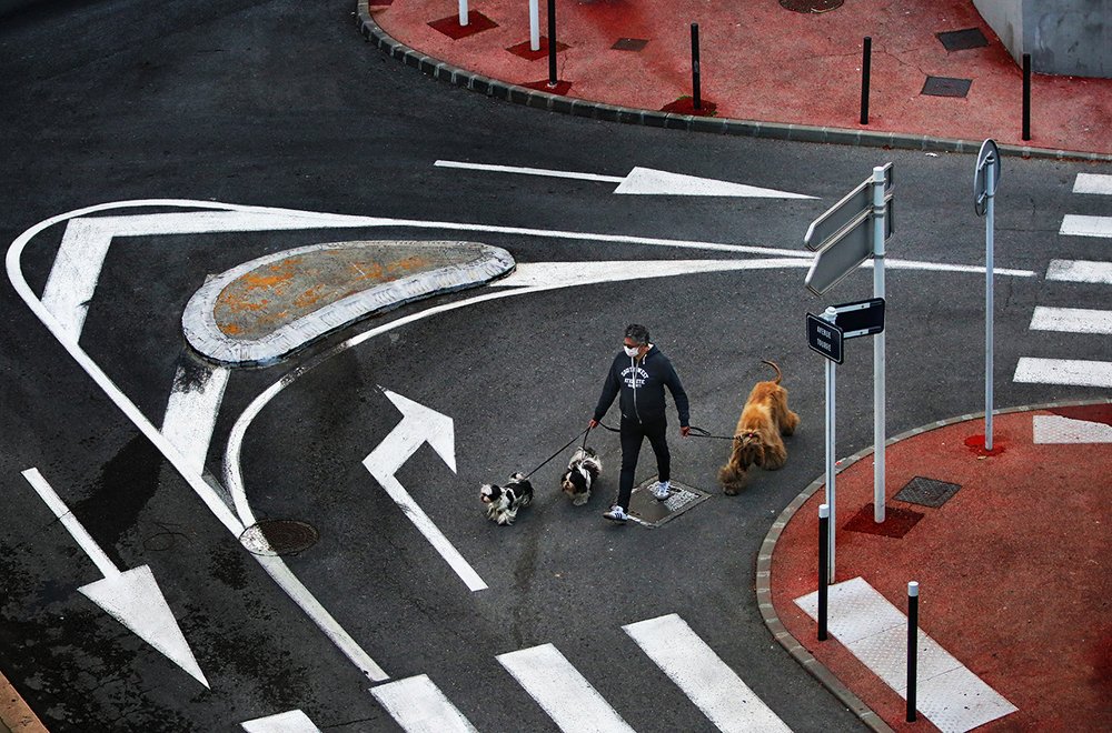 Выгуливание хозяина