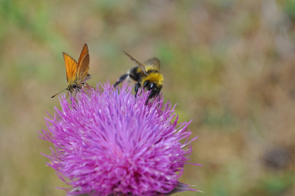 Photograph by Юрий