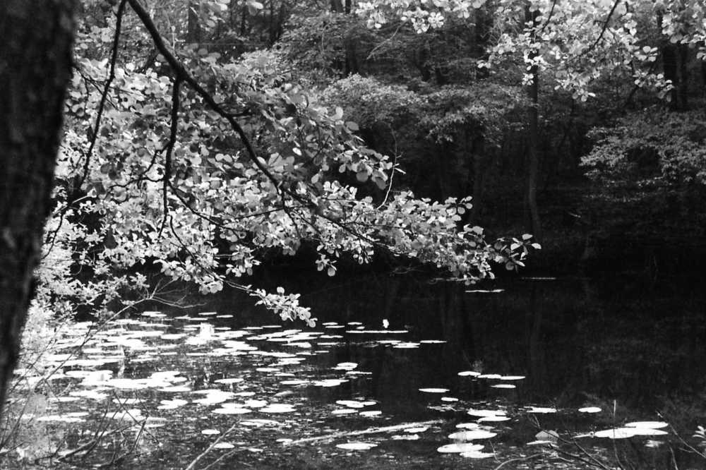 Photograph by Юрий