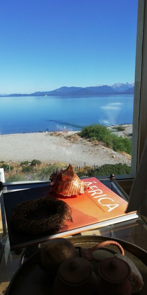 Photo #4620260