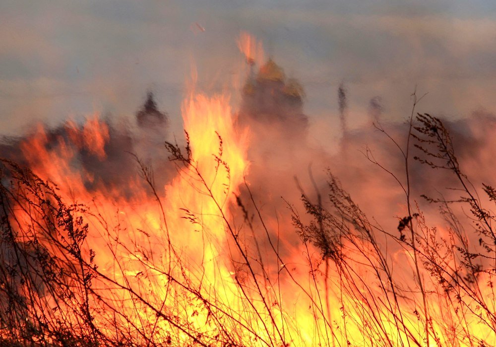 Лужецкий Монастырь в "огне"