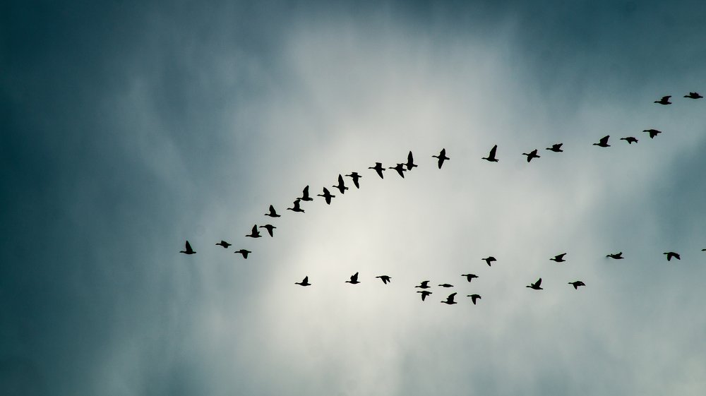 Photograph by Евгений Калагаев