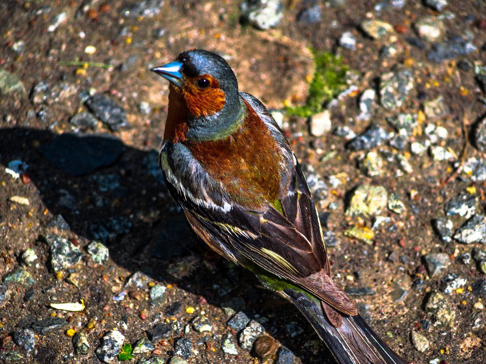 Фотография автора Игорь Игоревич