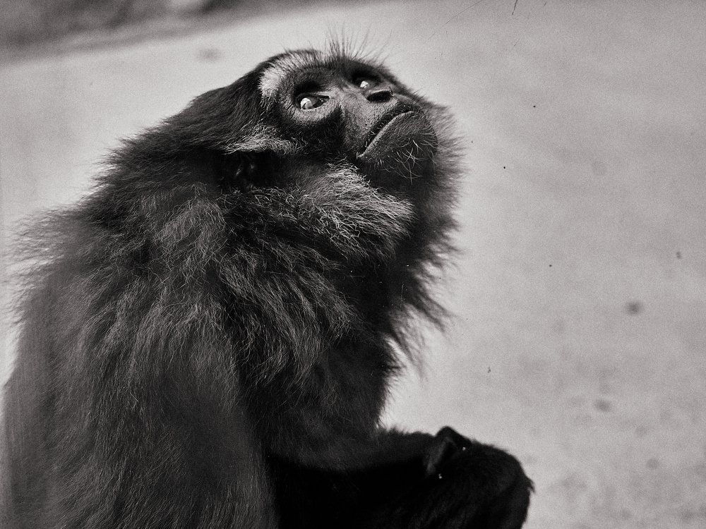 Фотография автора Игорь Игоревич