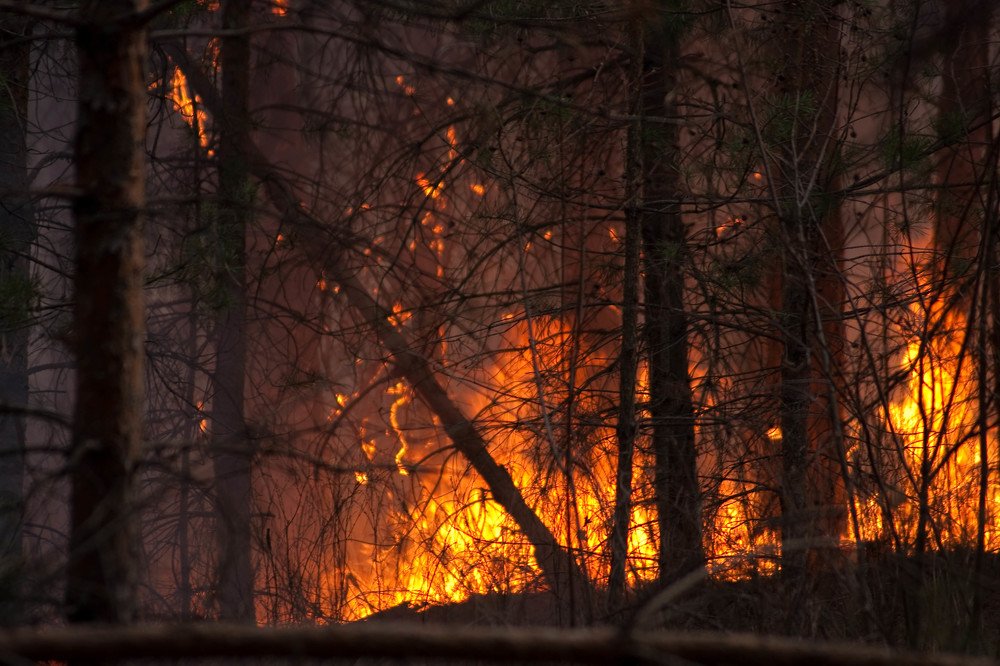 Photograph by Владимир Кочкин