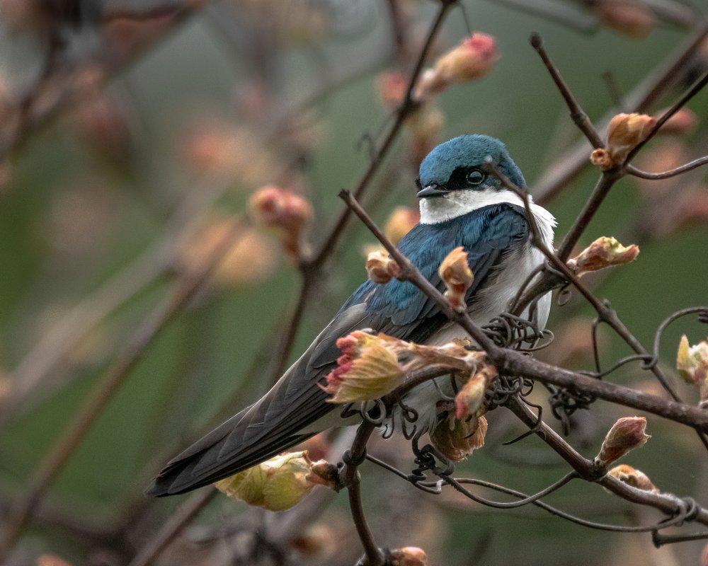 Photograph by JAMES BAILEY