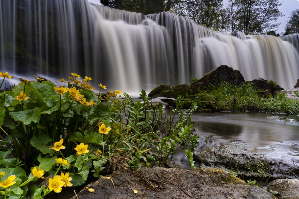 Photograph by Susanna Kari