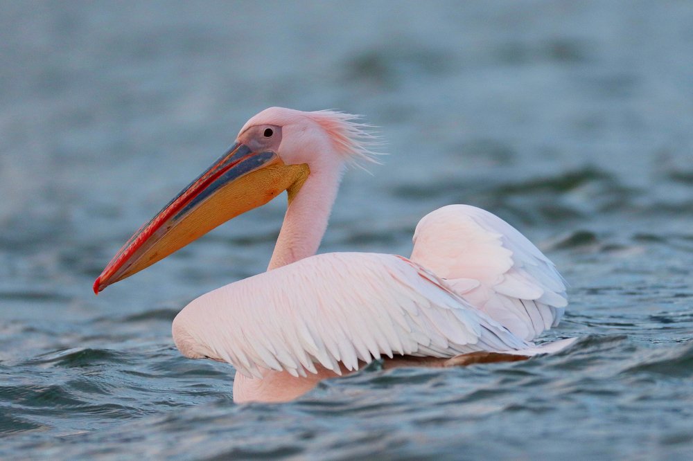 Photograph by Piotr Warzecha