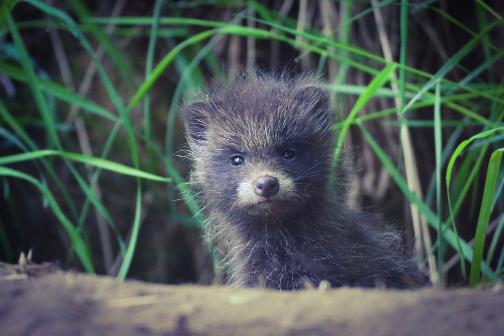 Photograph by Piotr Warzecha