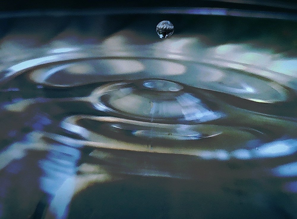 Photograph by Sreeraj S nair