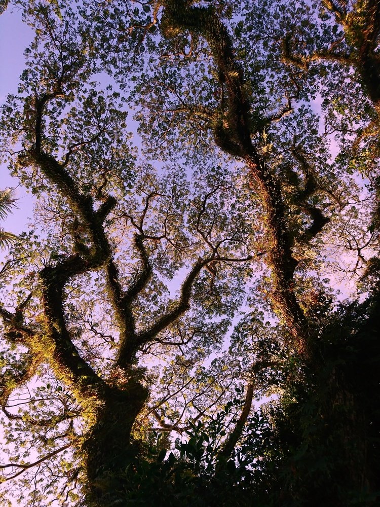 Photograph by Sofiya Naydenova