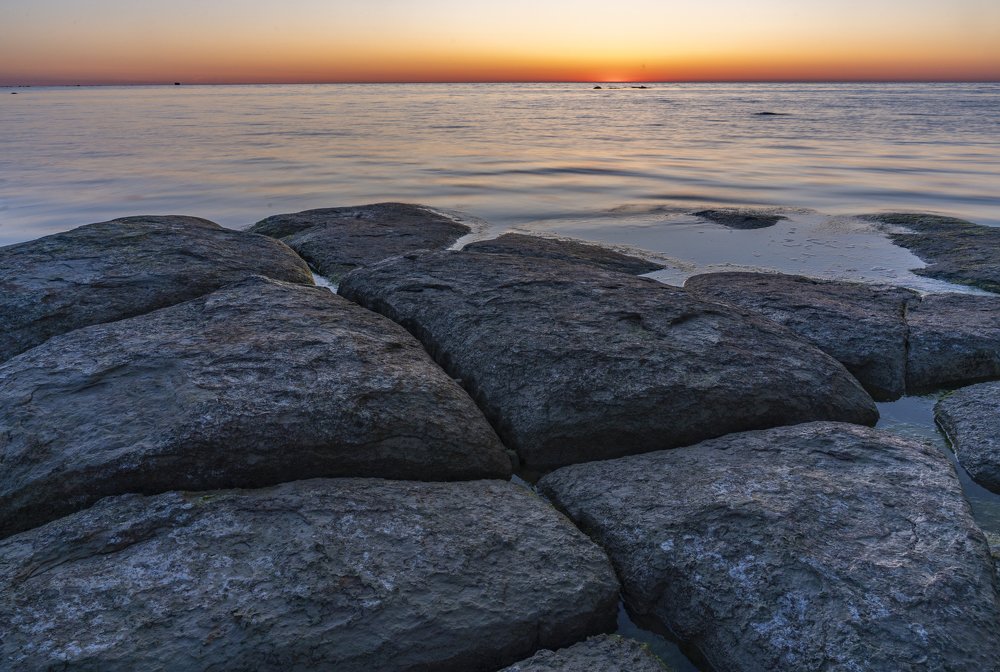 Photograph by Susanna Kari