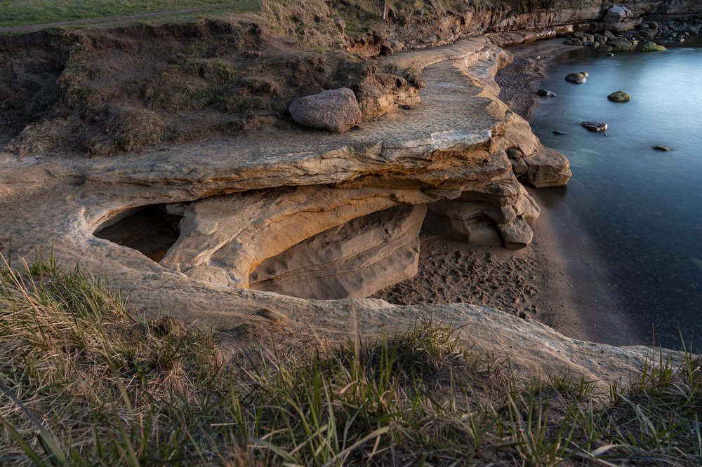 Photograph by Susanna Kari