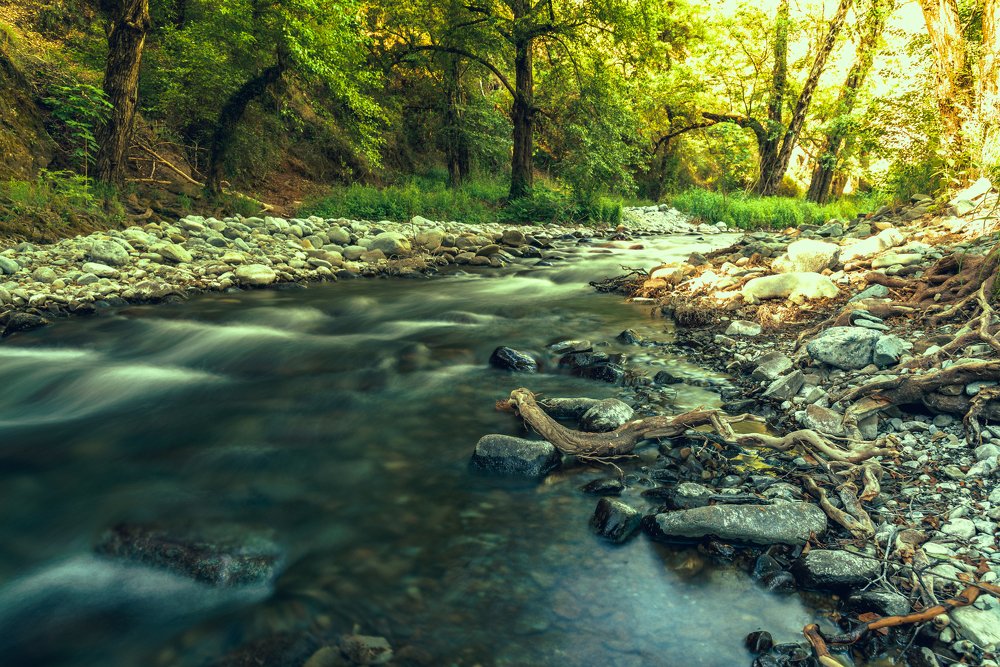 Photograph by Ognyan Levashki