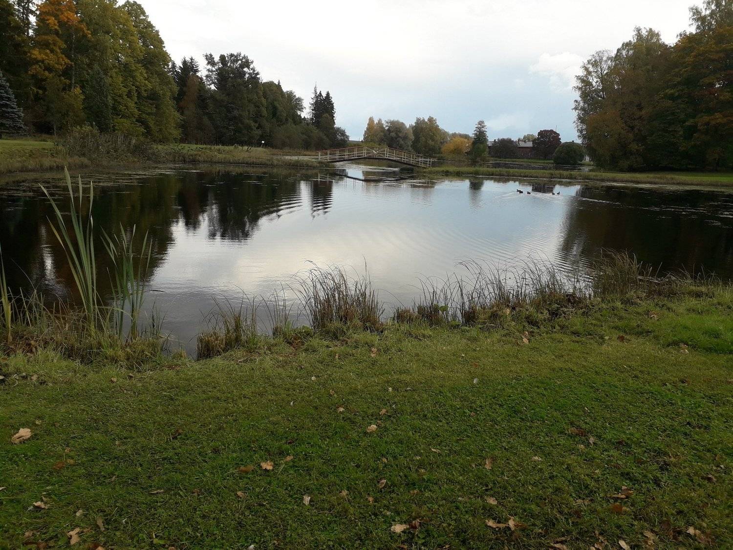 Bekendorffi park.