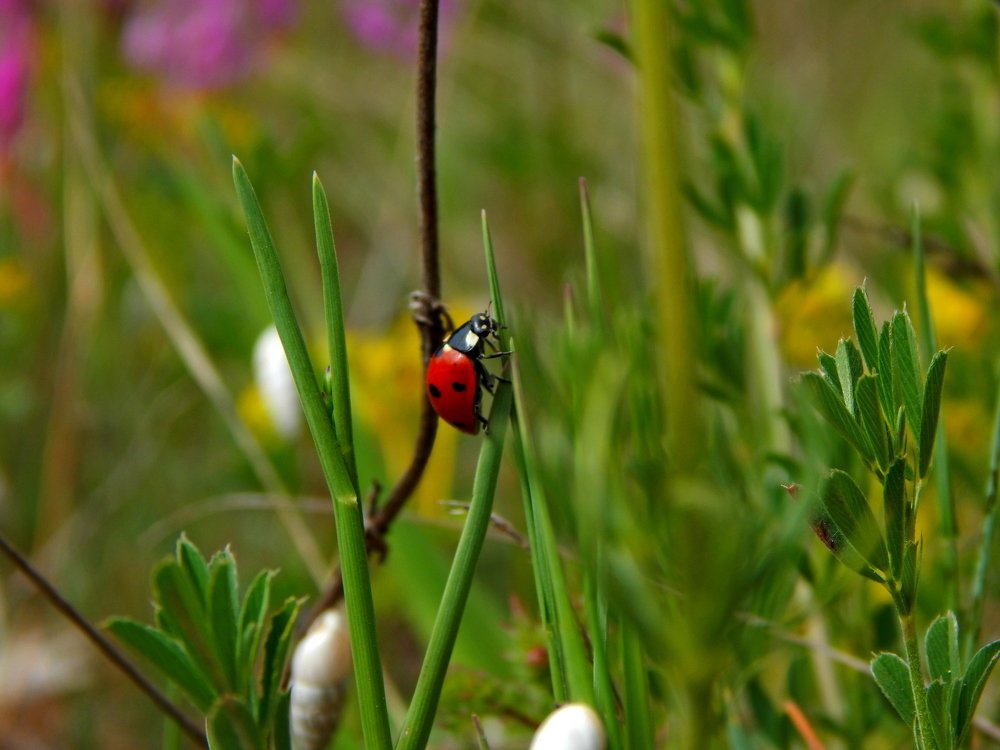 Photograph by Артур Хороший