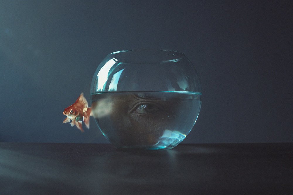 Photograph by Flores Alejandro