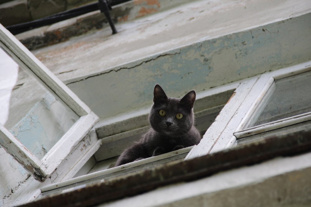 Photograph by Игорь Улитин