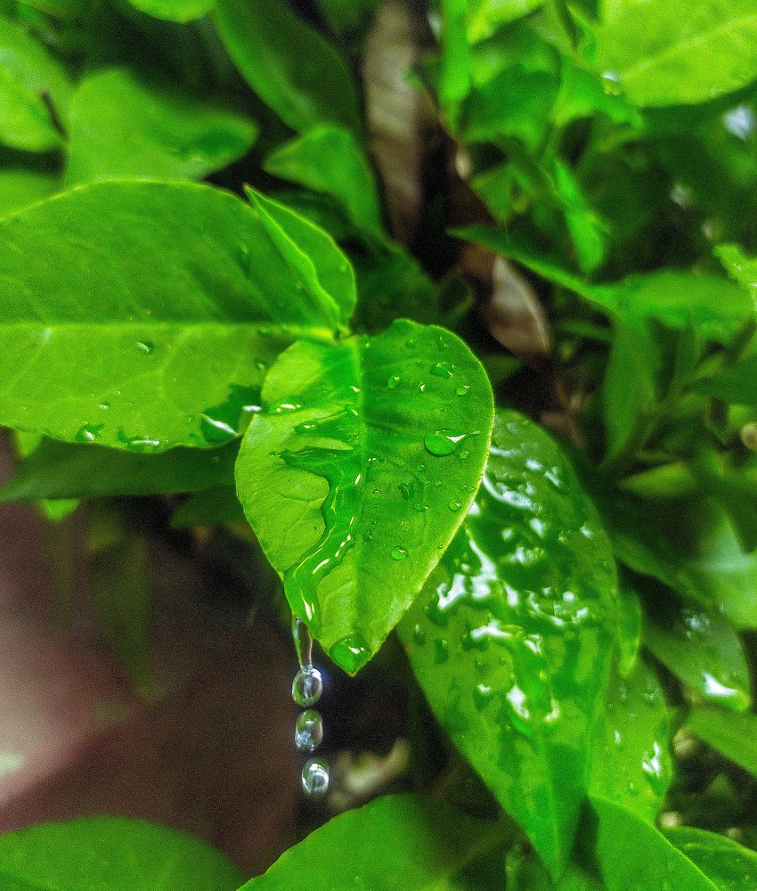 Photograph by Twinkle Debnath