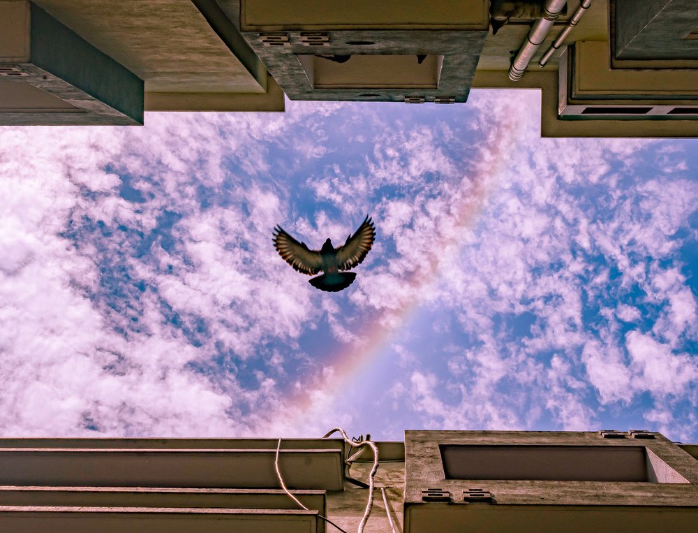 Photograph by  Asamanj Maiti