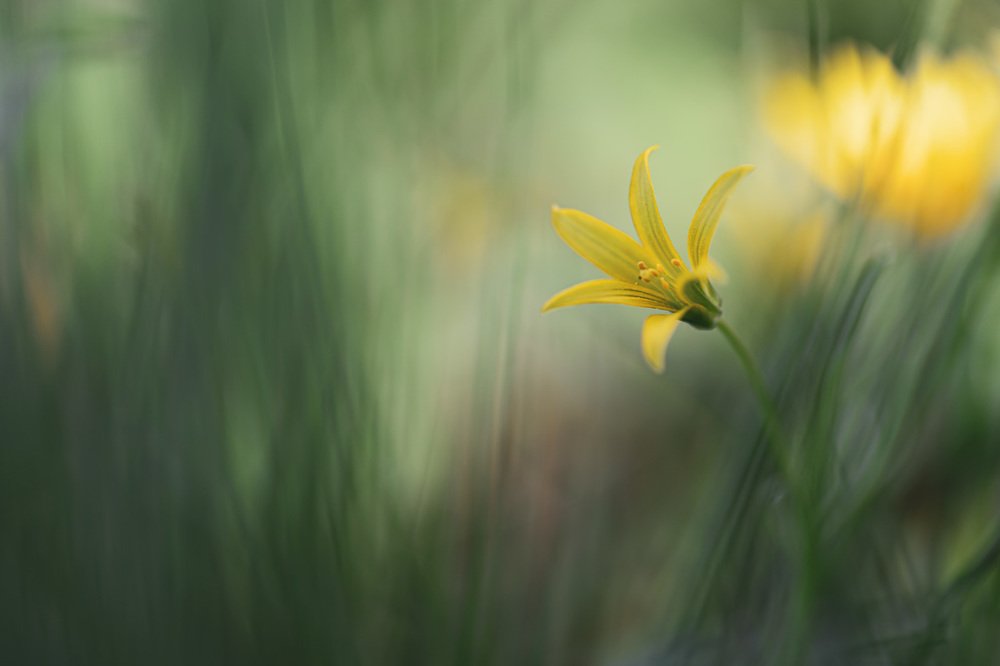 Photograph by Игорь Копцев