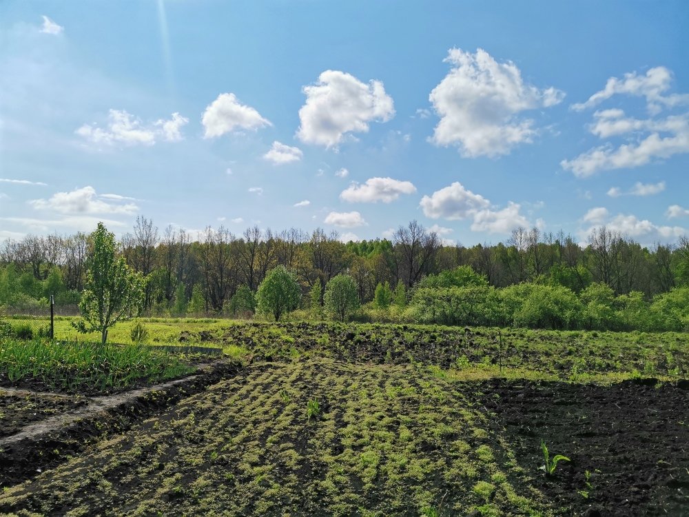 Photograph by Александр Костин