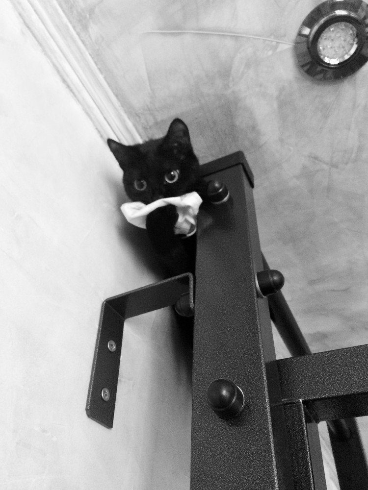 Фотография автора Литвинова Ольга