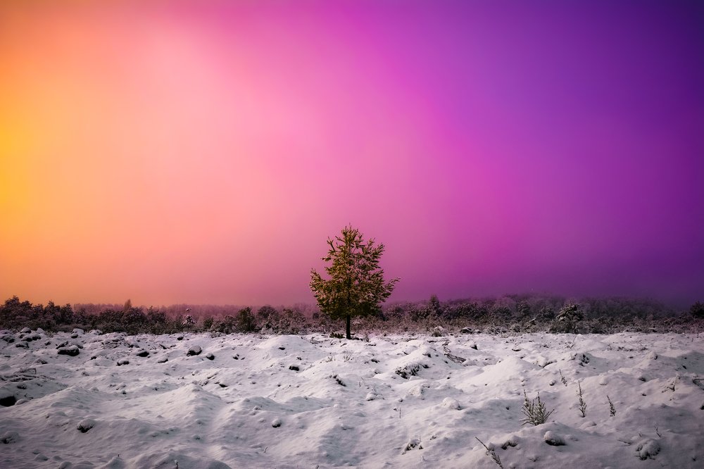 Photograph by Leonardo Ramos