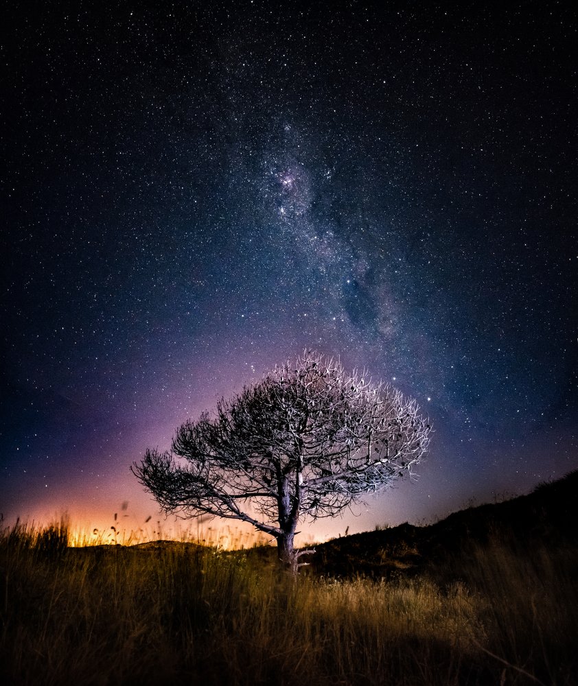 Photograph by Leonardo Ramos