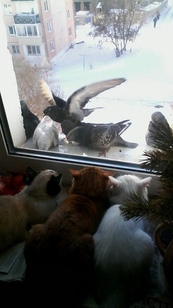 Photograph by Татьяна Собенникова