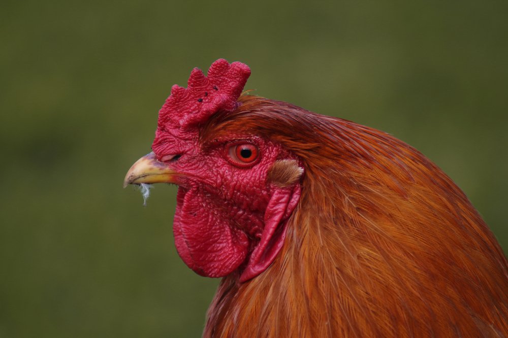 Photograph by Эльза Давлеева