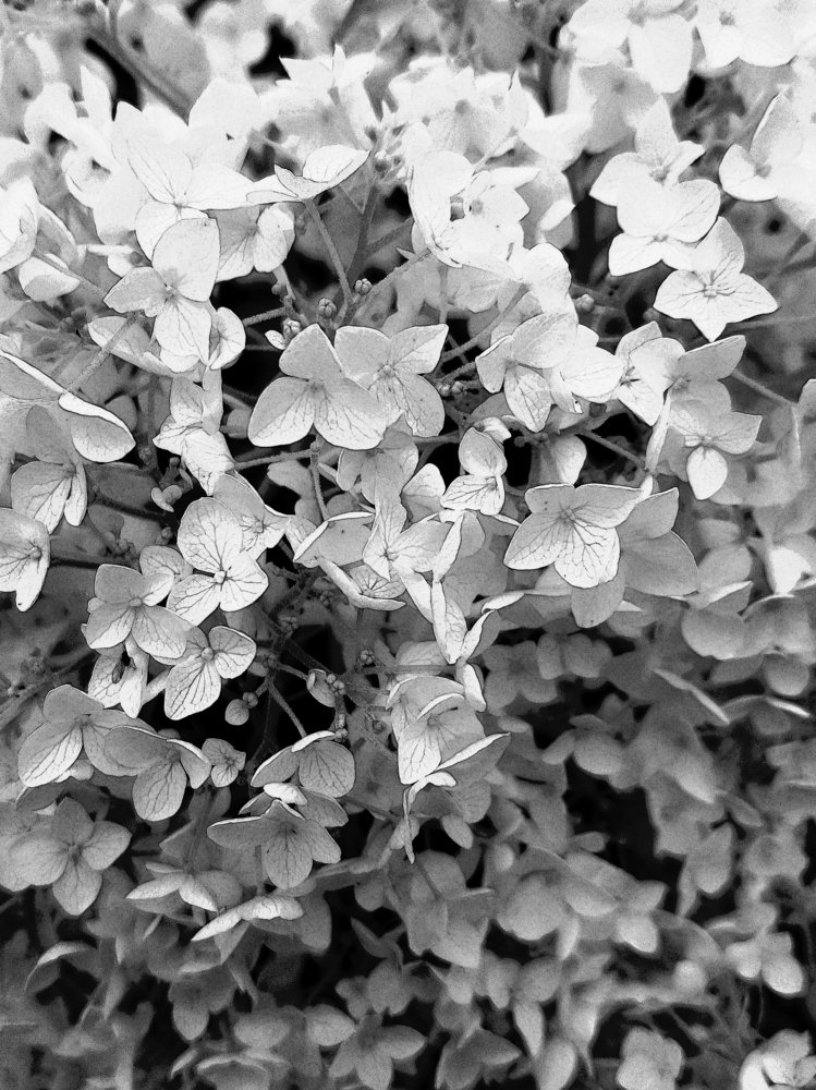 Photograph by Александра Пухкалова