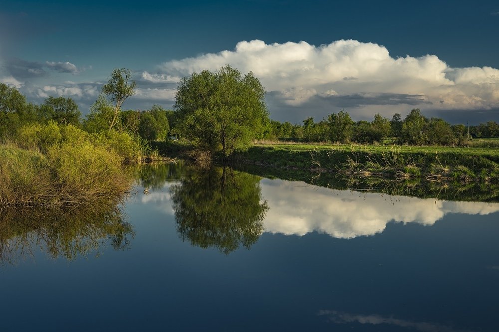 Фотография автора Александр Кременицкий