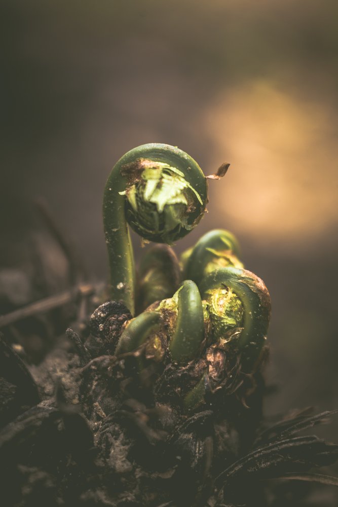 Фотография автора Анна Моргунова