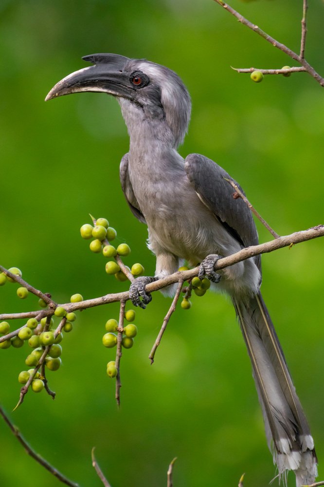 The Beauty of Lockdown