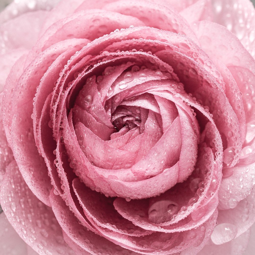 Photograph by Alexander Tarasov