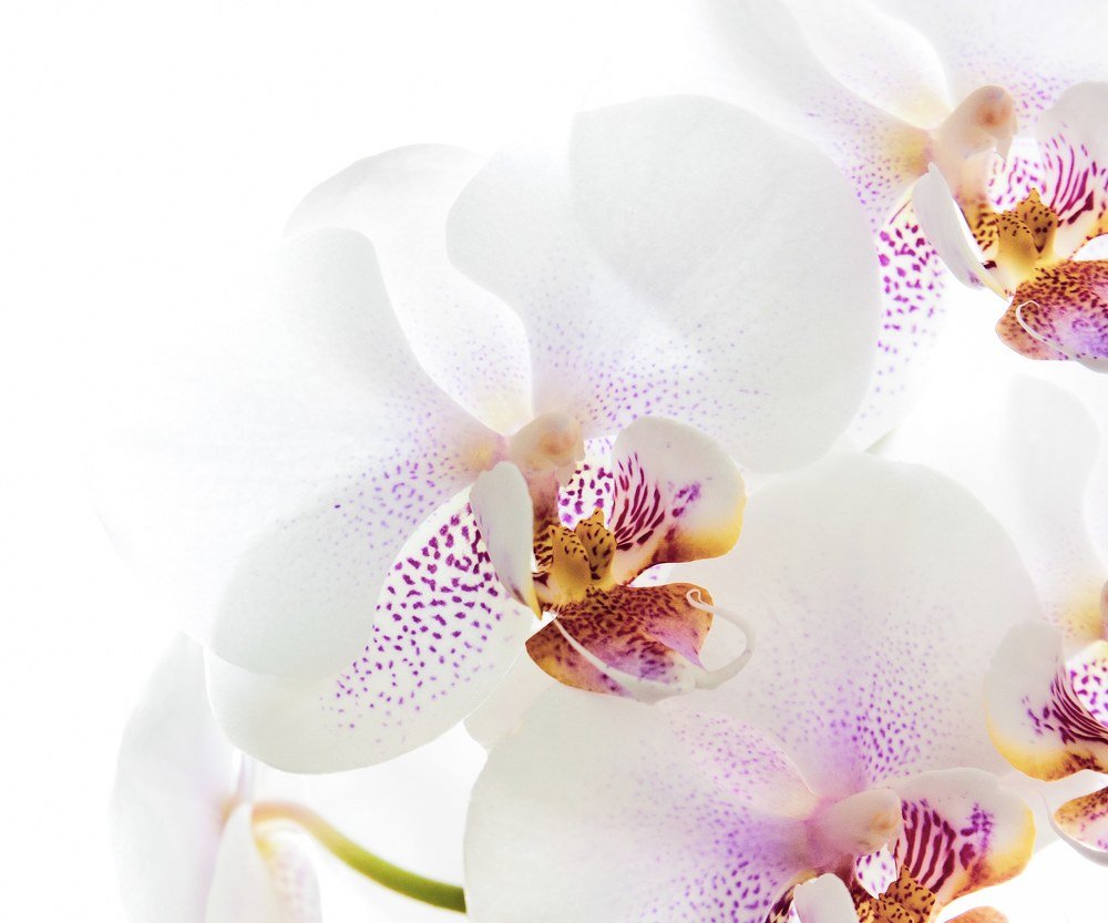 Photograph by Alexander Tarasov