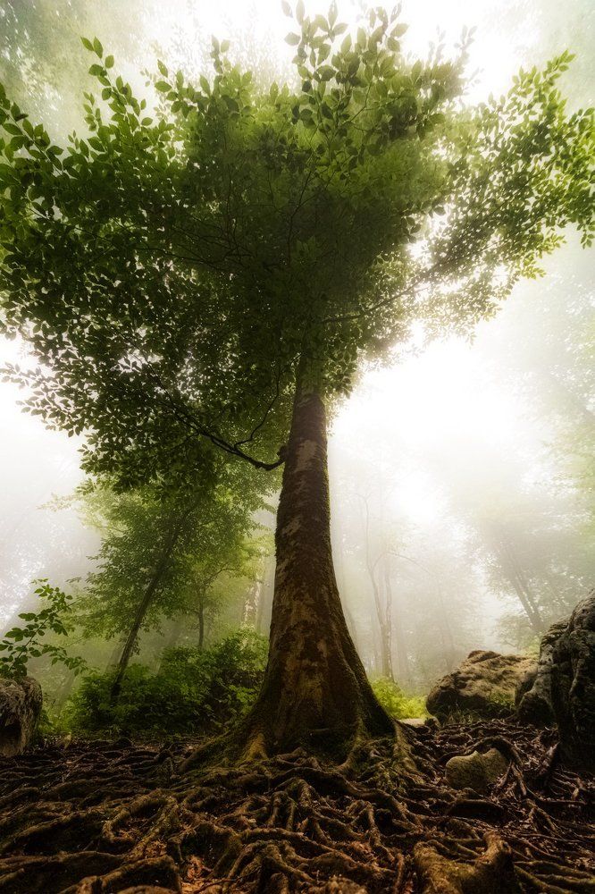 Photograph by Moshtaq AlDelaimy