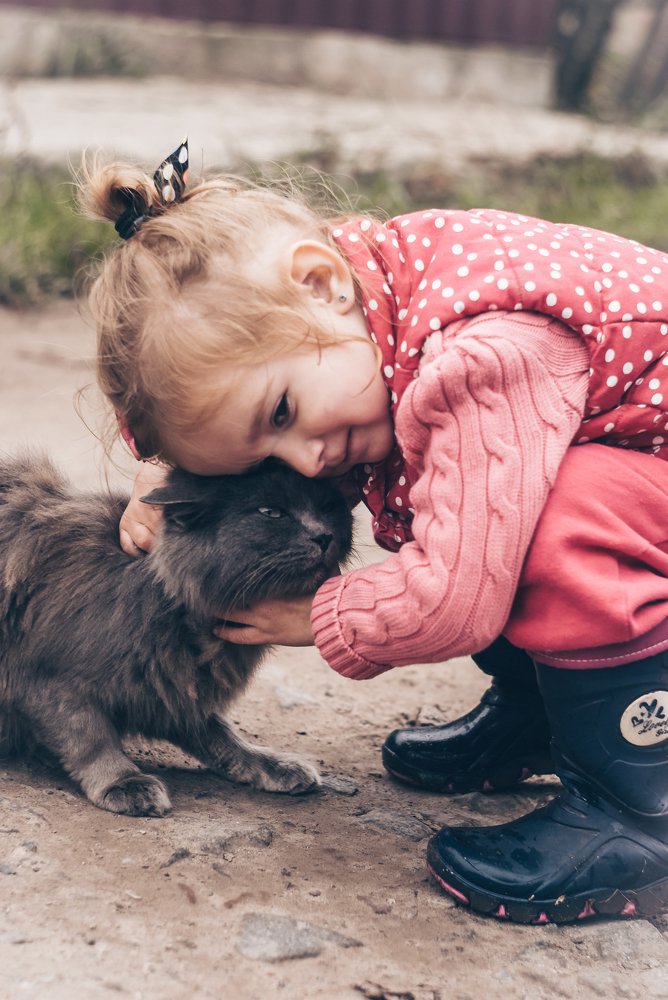 Фотография автора Анна Моргунова
