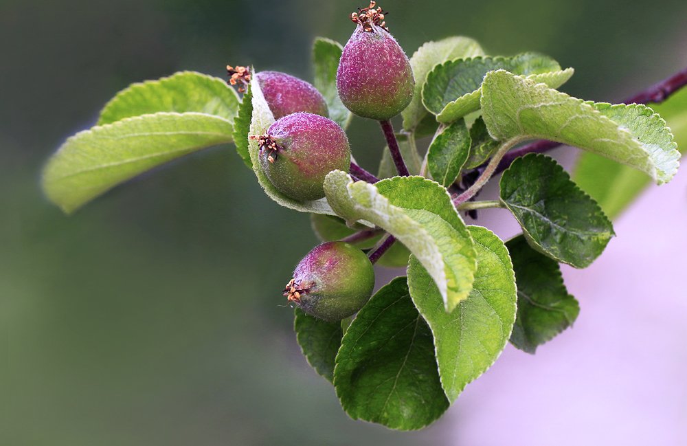 Photograph by Басыров Валерий