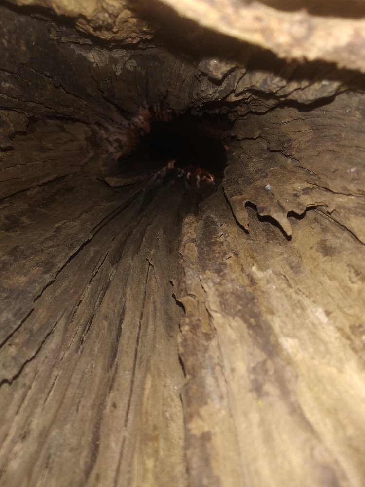 Photograph by Gorishankar Kumawat