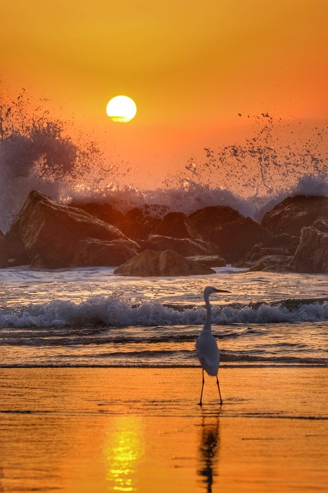 Photograph by Karchemski Arkadi