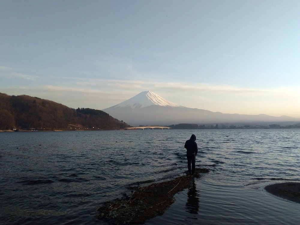 Photo #4623051