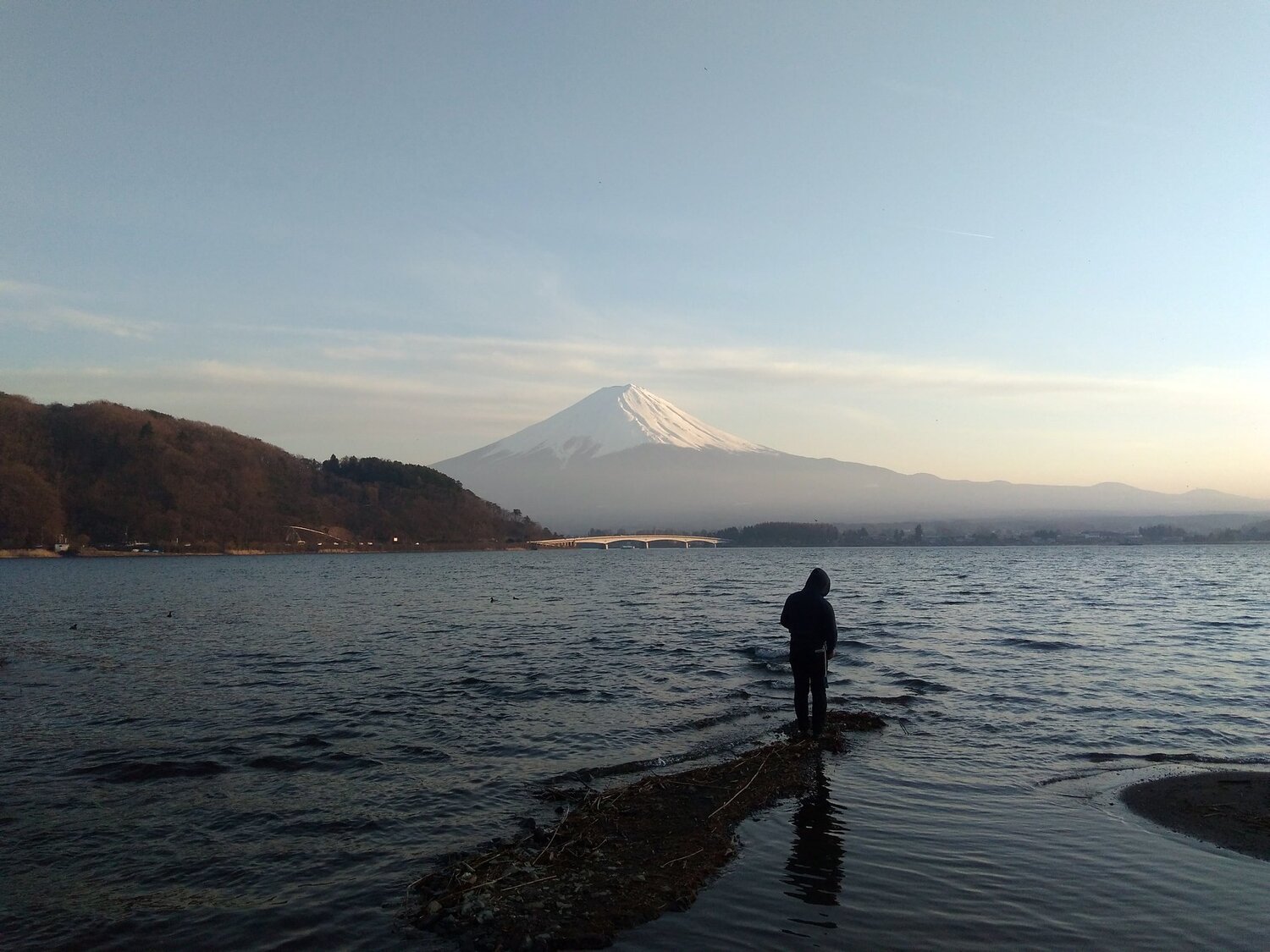 Photo #4623051